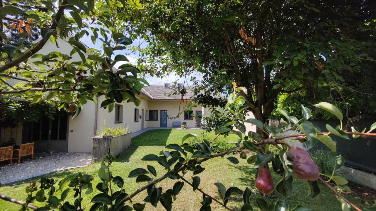 Sabines Apartments Ferienwohnungen